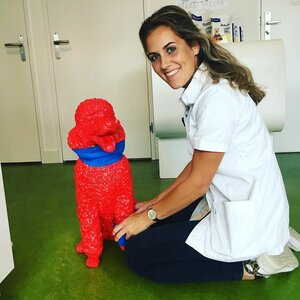 Dierenkliniek Almere-Stad image 2