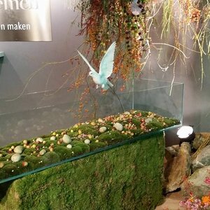 Silentis Uitvaartverzorging image 3