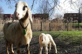 Volop lente bij Stad & Natuur