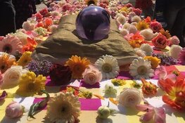 Markt Poort met passie