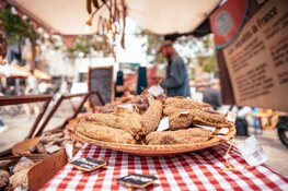 Ontdek alles wat groeit en bloeit tijdens het Floriade Festival 2019