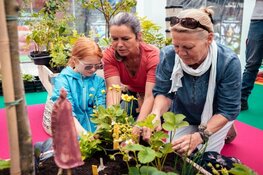 Succesvolle tweede editie van Floriade Festival in Almere