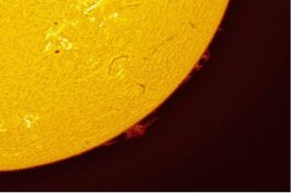 Eerste Landelijke Zonnekijkdag bij Natuurbelevingcentrum de Oostvaarders