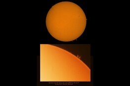 Eerste Landelijke Zonnekijkdag bij Natuurbelevingcentrum de Oostvaarders