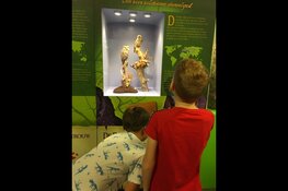 Oehoe! Uilenzomer bij Stad & Natuur op de Kemphaan