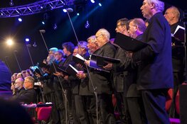 Nederlands Kamerorkest speelt klassiekers van Wolfgang Amadeus Mozart