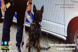 Straatrovers aangehouden na inzet diensthond