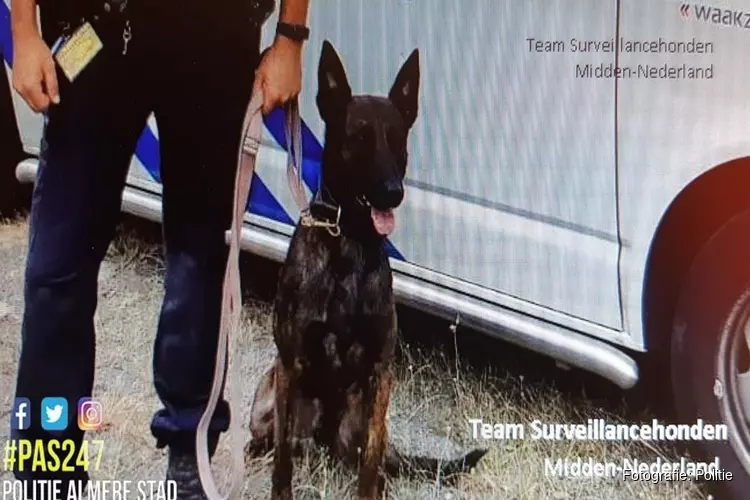 Straatrovers aangehouden na inzet diensthond