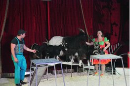 Nationaal Familie Circus Barani op Rio de Janeiroplein