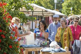 Straatacts, muziek, botters, kunst en brocante op Almere Haven Festival