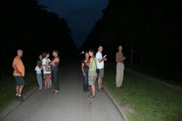 Eerste Vleermuizenweekend bij De Oostvaarders