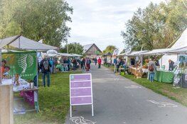 Vogelfestival in de Oostvaardersplassen