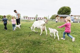 Stad & Natuur viert 4 feestjes op zondag 6 oktober