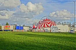 Circus komt met vele dieren naar Almere-haven