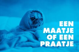 Theatergezelschap BonteHond maakt EEN MAATJE OF EEN PRAATJE: Een theatrale route tegen eenzaamheid.