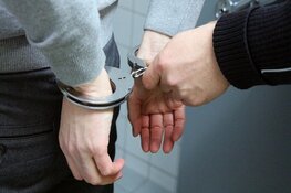 Woninginbrekers aangehouden