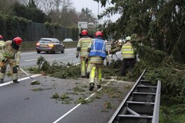 Zondagse storm Ciara houdt Nederland in greep (fotoalbum)