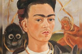 Art Rocks in Kunstlinie Almere Flevoland