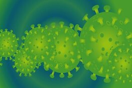 Nieuwe besmetting coronavirus Flevoland