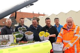 Tulpentelers steken zorg hart onder de riem