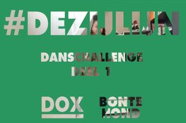 Samen aan DE ZIJLIJN met BonteHond en DOX