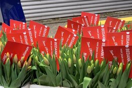 5000 tulpen van Ultimum als dank voor medewerkers Flevoziekenhuis