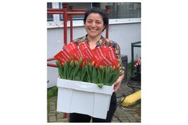 5000 tulpen van Ultimum als dank voor medewerkers Flevoziekenhuis