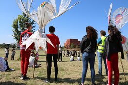 Inspectie van het Onderwijs beloont Arte College met mooie beoordeling