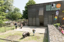 Kinderboerderijen van Stad & Natuur weer geopend