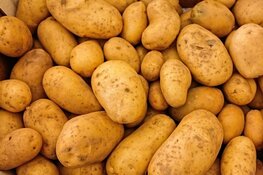 Duizenden kilo's aardappels te redden op Nationale Aardappelberg Dag in Almere en Lelystad.