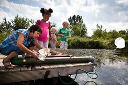 Zomervakantie bij Stad & Natuur