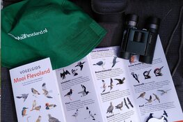 Ontdek de zomer met MooiFlevoland.nl