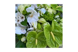 Indiëherdenking Flevoland van 15 augustus a.s.