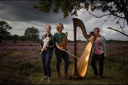 Zin in muziek! Klassiek in Almere Haven