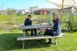Almeerse componist Miranda Driessen werkt met windharpen op het Almeerderstrand