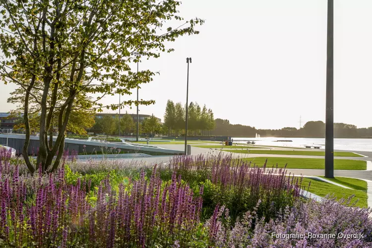 Activiteiten bij opening vernieuwde Esplanade gaan niet door