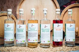 Energie én kosten besparen dankzij pelletketel BioSpirits in Almere