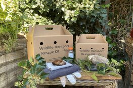 Overhandiging Wildelife Transport Rescue Kit aan wethouder van Garderen