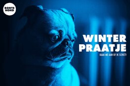 Theatergezelschap BonteHond presenteert: WINTER PRAATJE - Een theatrale route rond (online) eenzaamheid