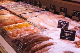 Viscircus Gebroeders Koning opent op nieuwe locatie