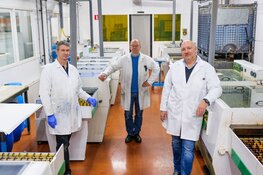 In twee weken al 80.000 euro opgehaald voor behoud van Almere's ambachtelijke etsbedrijf Etsprit