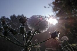 3 winnaars landelijke KidzKlix prijs uit Almere!