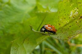3 winnaars landelijke KidzKlix prijs uit Almere!