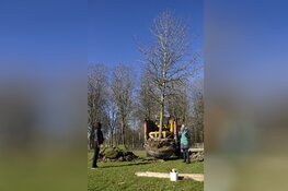 Amberboom heeft nieuwe locatie op Kinderboerderij den Uylpark