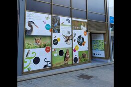 Stad & Natuur zet de natuur in de etalage in het Stadscentrum