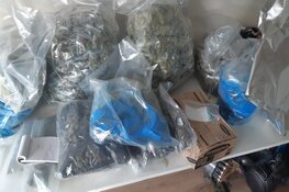 Drugs aangetroffen bij integrale controle