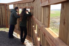 Nieuwe uitzichtpunten in Etalagegebied Oostvaardersplassen