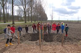Timpaan, AW Groep en Honey Highway verhogen biodiversiteit en maken toekomstige bewoners BOSS Almere natuurbeschermers