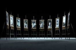 Thema-avond: Big Banner in de Oostvaardersplassen