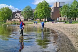 Studenten monitoren kwaliteit van zwemwater in Almere